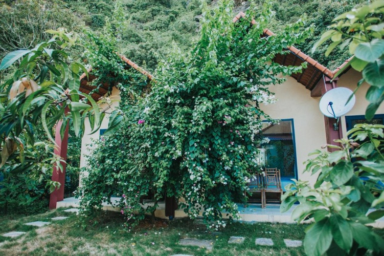 Superior Twin room with garden view