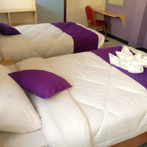 Deluxe Twin room with city view