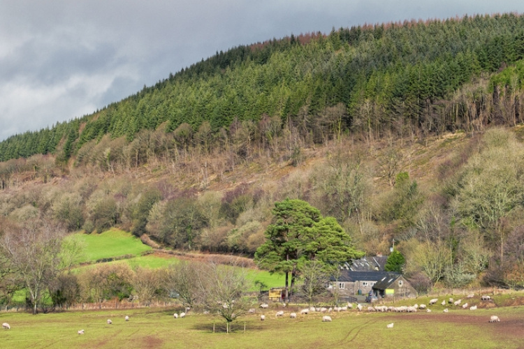 YHA Brecon Beacons Danywenallt