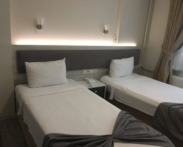 Hotel Temizay