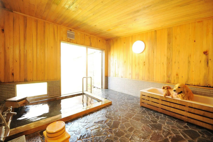Takayama Wan Wan Paradise Hotel & Cottage