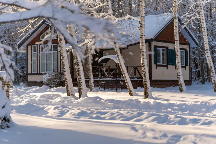 Фотография номера гостевого дома Дом на Лесной Опушке