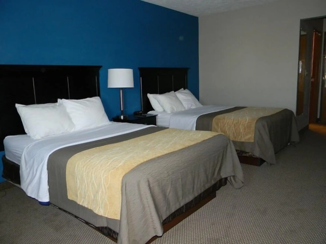 Comfort Inn photo 7