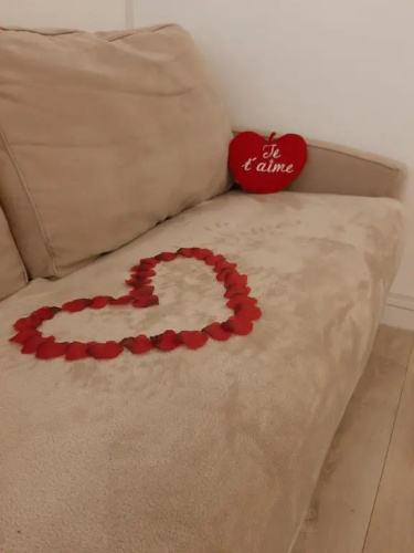 Love Room,Jacuzzi Privatif, NETFLIX