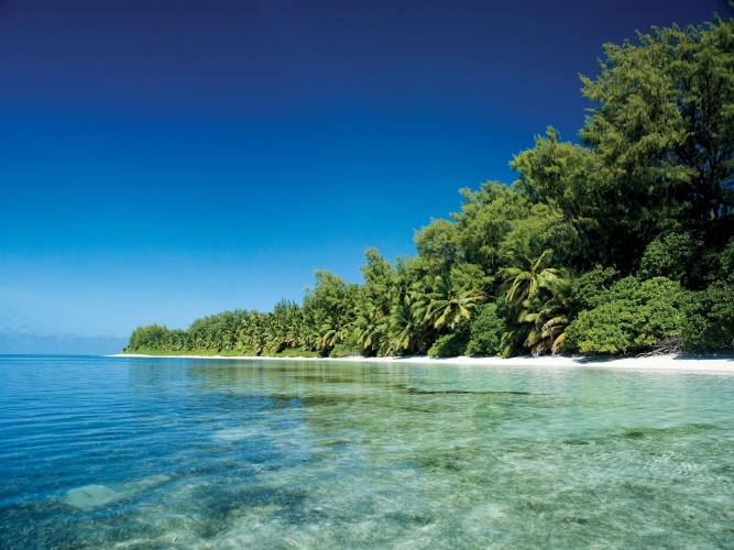 Four Seasons Resort Seychelles at Desroches Island photo 34