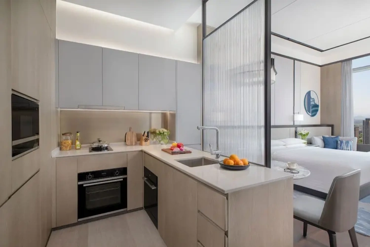 Double Studio with city view