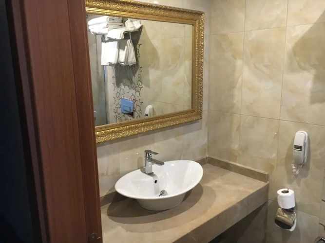 Standard Double room with balcony and with garden view