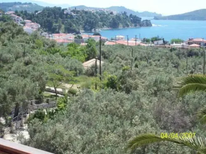 Olive Grove Studios