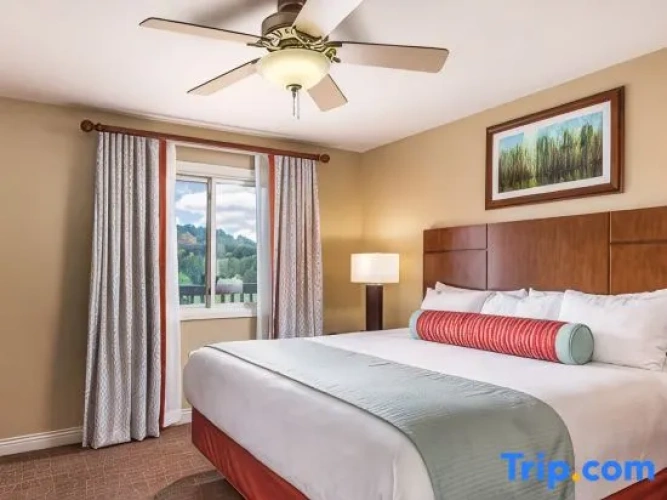 1 Bedroom Suite