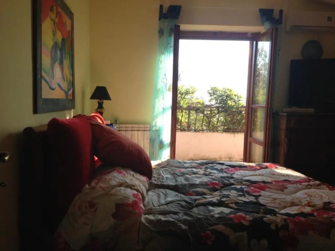 Standard Double room with balcony and with view