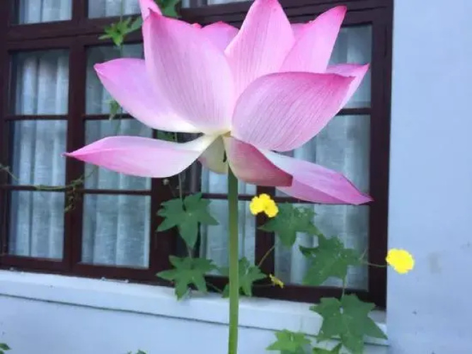 Youjian Nanshan Hotel