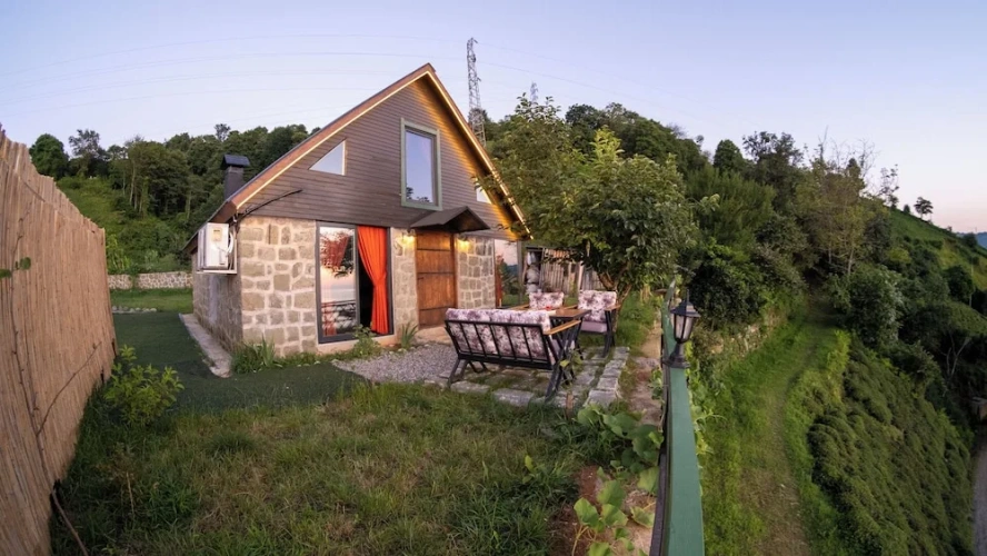 Business Bungalow