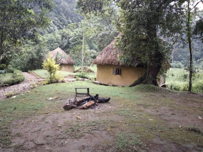 Nshongi Forest Camp