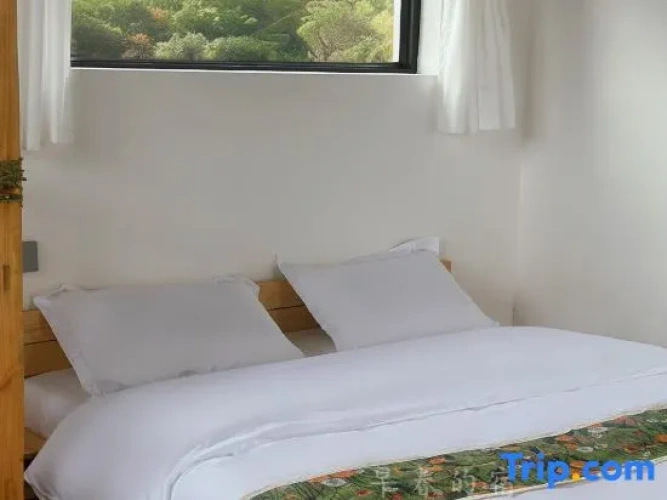 Duplex Suite