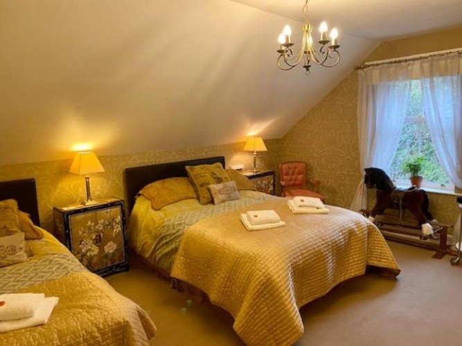 Standard Family room
