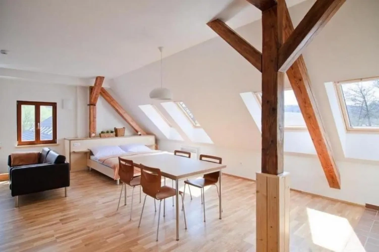 Standard Apartment