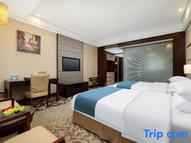 Standard Double room with city view