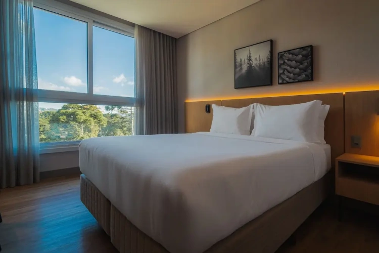 Standard Suite
