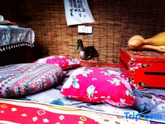 Xixi Guesthouse
