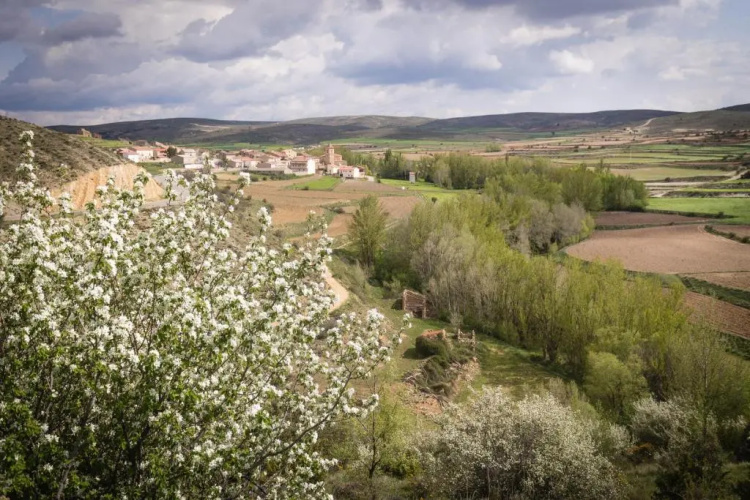 Fuentes de la Hoz