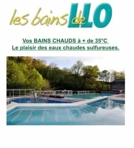 28 Les Lupins