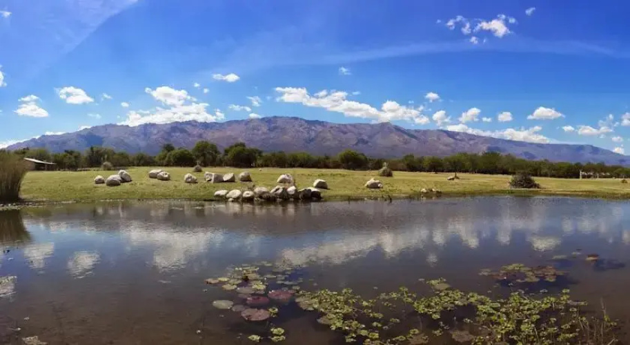 Arabela Casas de Campo