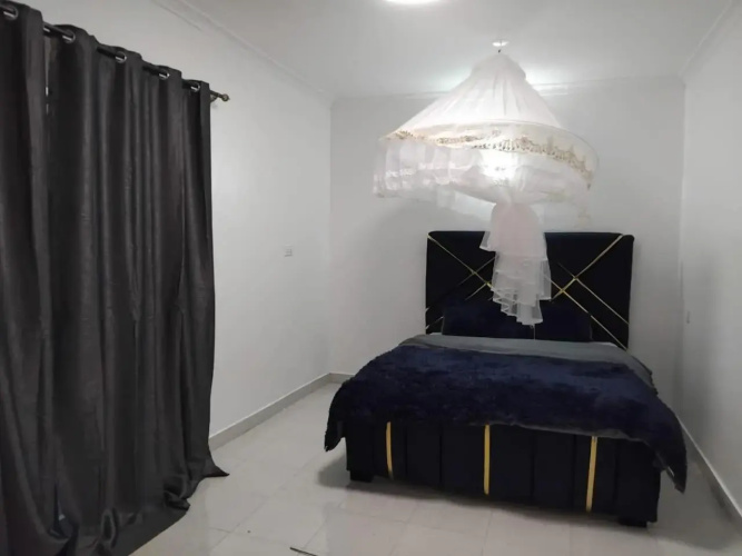 Royal palms studio