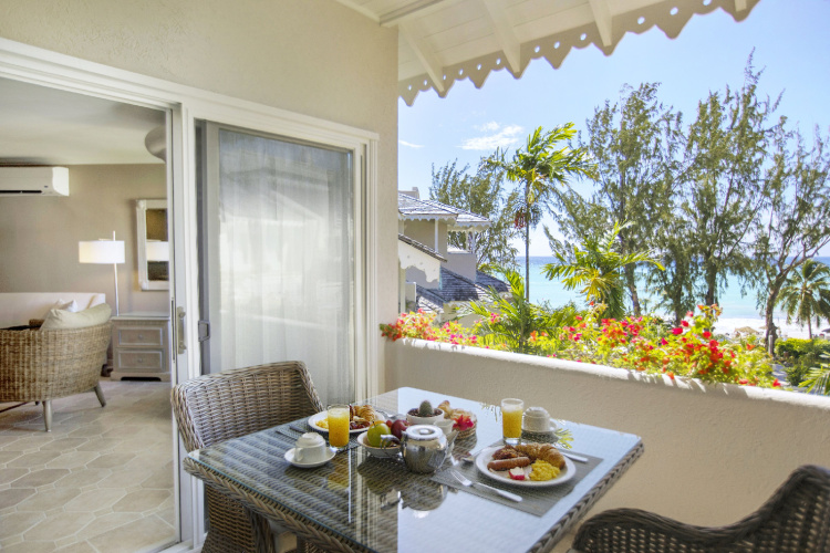 Bougainvillea Barbados photo 9