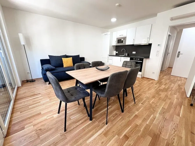 Comfort Apartment