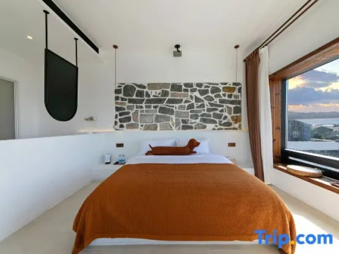 Standard Double room with balcony and with sea view