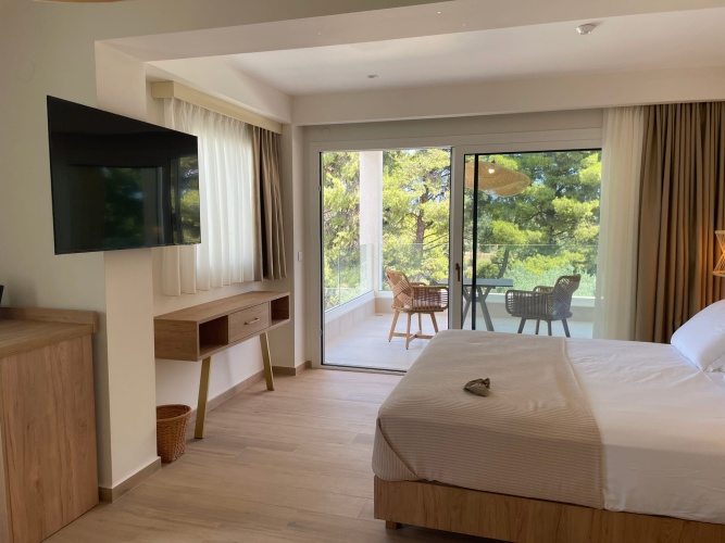 Standard Suite