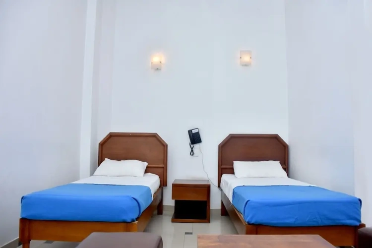 Deluxe Twin room with land view