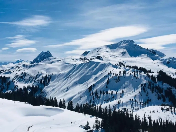 Cottage