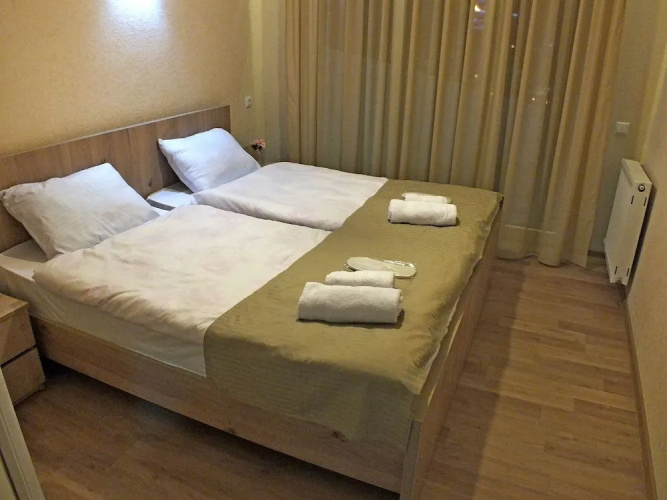 Hotel Petre Palace