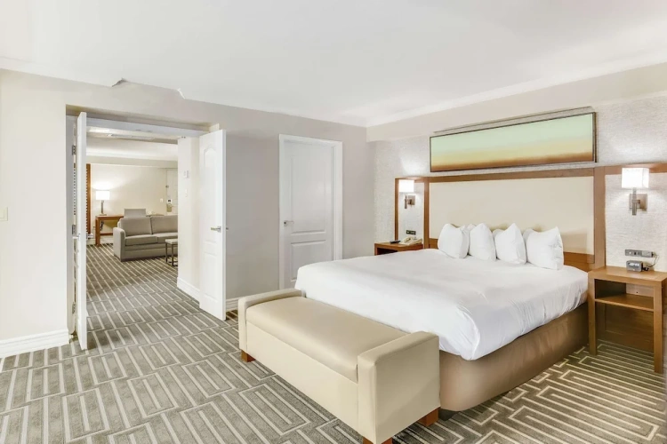 1 Bedroom Ambassador Suite