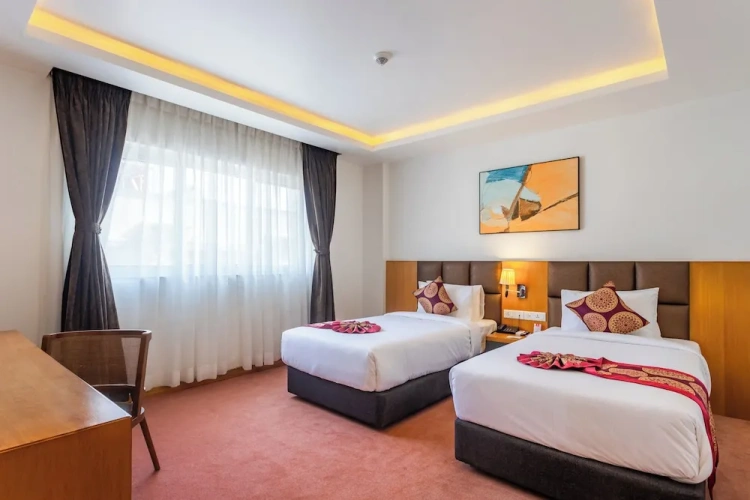 Deluxe Twin room with view