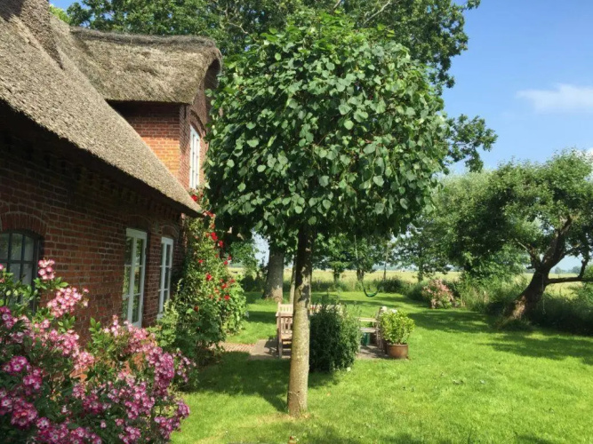 Heverkoog