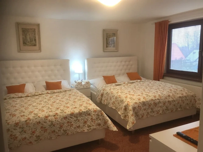 Classic Apartment