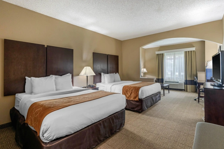 Quadruple Suite