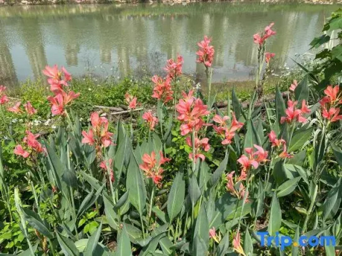 Longyan Xingwang Hot Spring Hotel