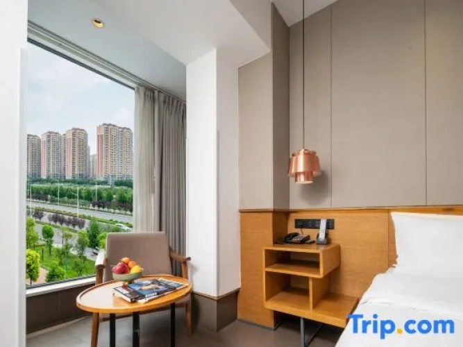 Business Double room with city view