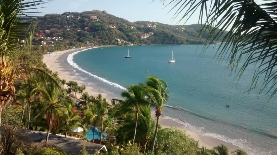 Catalina Beach Resort photo 22