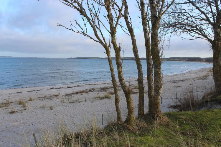 Kleine Landliebe