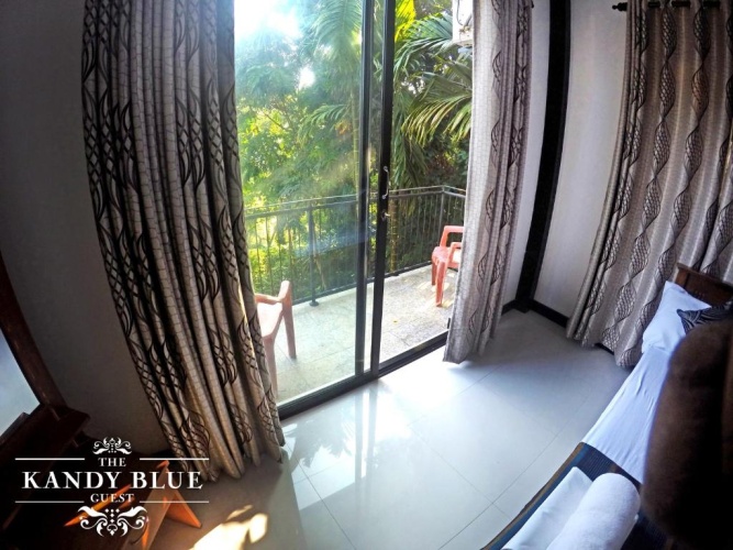 Standard Double room with balcony and with view
