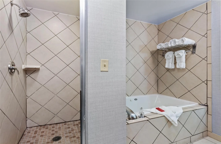 Deluxe Double Suite
