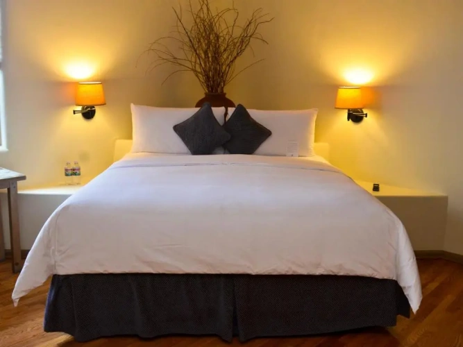 1 Bedroom Suite