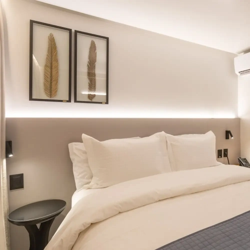Luxury Suite