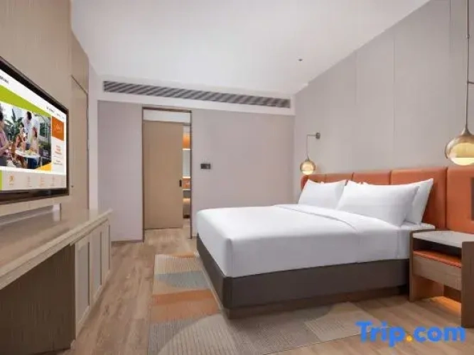 1 Bedroom Suite