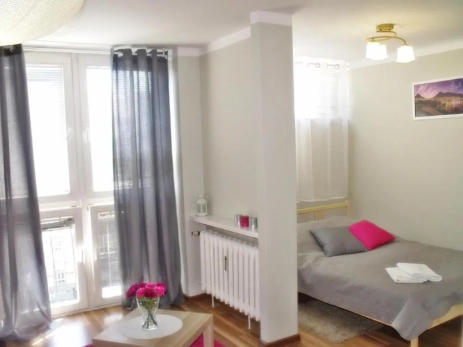 Standard Apartment with view