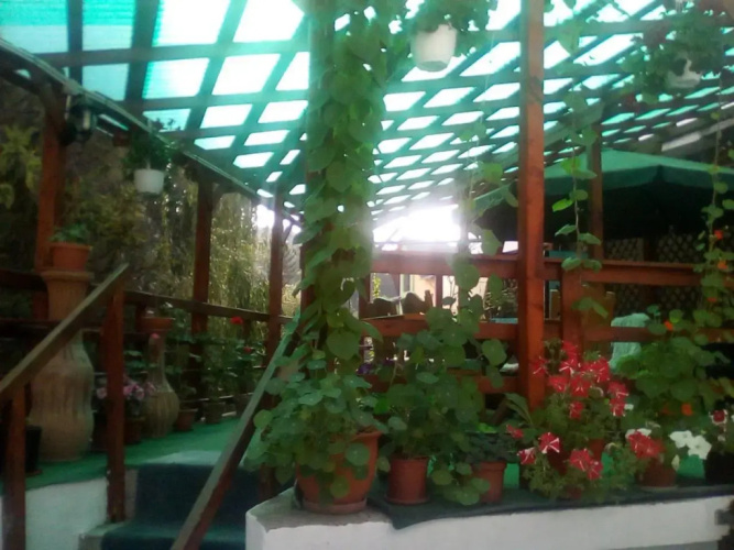 Casa Olanescu